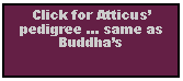 Text Box: Click for Atticus pedigree  same as Buddhas
