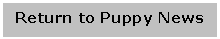 Text Box: Return to Puppy News