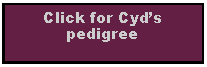 Text Box: Click for Cyds pedigree