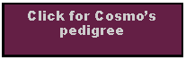 Text Box: Click for Cosmos pedigree