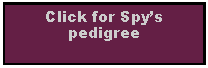 Text Box: Click for Spys pedigree